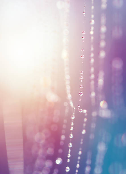 macrophotography of a spider web with sparkling water droplets in sunlight