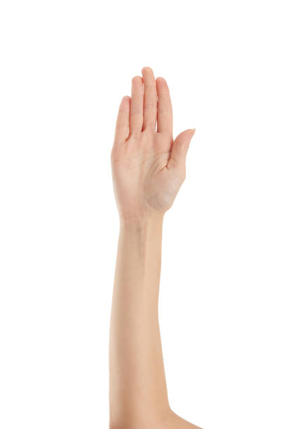 istock Female Open Hand Closed Fingers Over White Background 1465765000