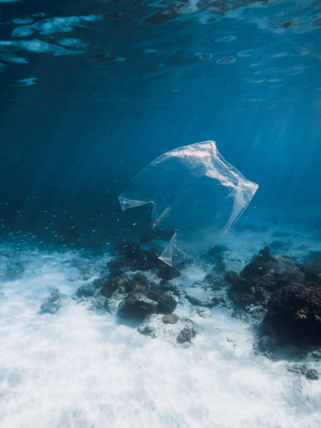 istock Underwater view in blue ocean with plastic bag and rubbish, ecological problem 1465771374