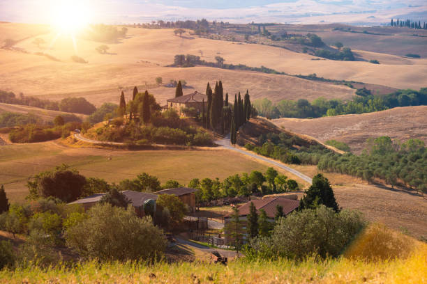 istock Road with cypresses on sunset in Tuscany, Italy 1465780775