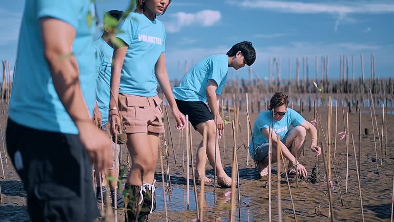 Volunteer team reforestation activity