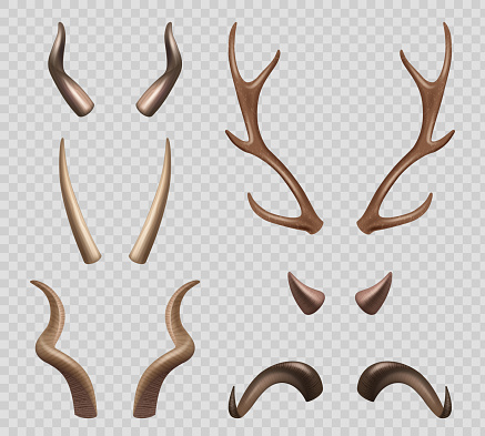 istock Animals horns. Moose sheep goat different types of horns decent vector realistic illustrations 1465783550