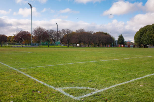 istock Scenic View Of Field Against Sky 1465784862