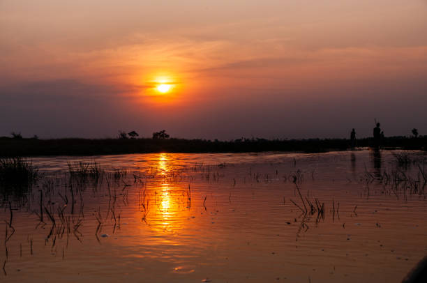 viagem de mokoro no delta do okavango - makoro - fotografias e filmes do acervo