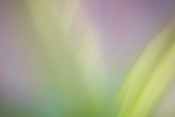 Abstract image of a purple flower. Image made using intentional camera movement technique.