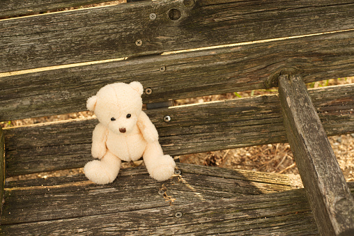 Child abuse concept. Teddy bear covering  eyes in an empty room