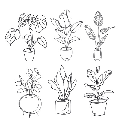 Houseplants.Vector set of outline plants in pots. Indoor exotic flowers with stems and leaves for home and interior,isolated on white background.Sketch style flowers in pots