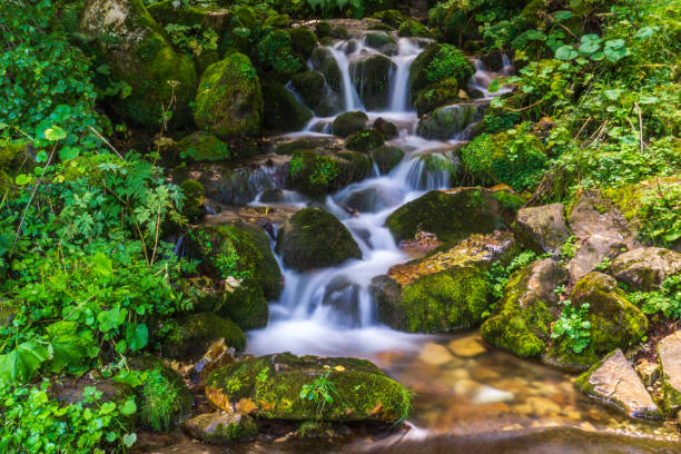 istock Closeup shot of a small waterfall gushing into a creek 1465805268