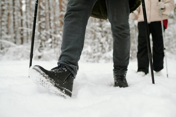 istock Lower part of active man with trekking sticks walking along forest road 1465805975