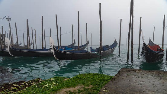 Venetian gondolas moored on a winter fogy morning