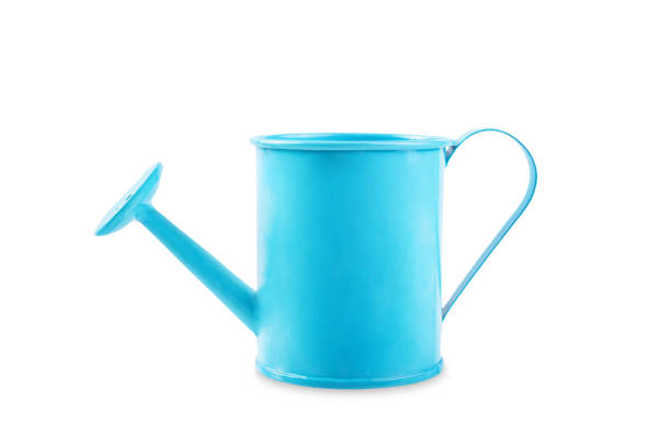 istock Blue watering can on a white isolated background 1465808559