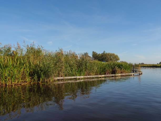 istock Waterways in Giethoorn, The Netherlands 1465808563