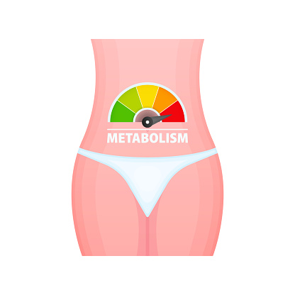 Metabolism level scale, speedometer, indicators Metabolism medical