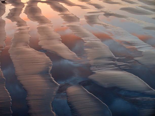 istock Sunset reflection on the beach in Playa Aguacaliente, Punta Banda 1465808851