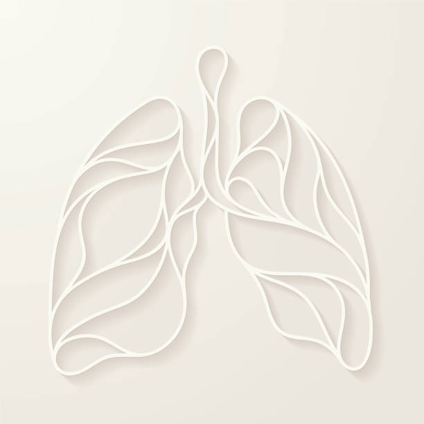 ilustraciones, imágenes clip art, dibujos animados e iconos de stock de pulmones abstractos curvilíneos cortados - pulmón