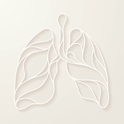 A simple, elegant cut out in the shape of human lungs. EPS10 vector illustration, global colors, easy to modify.