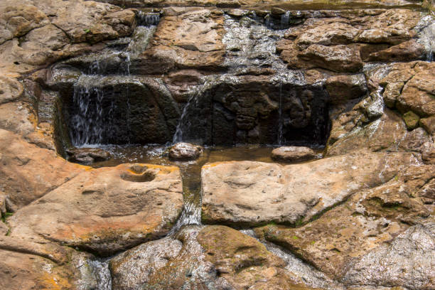 detail der fuente de lavapatas, zeremonialbrunnen mit zahlreichen serpentinen- und batrakomorphen figuren im flachrelief. san agustín (san agustín), huila, kolumbien, archäologischer park. - san agustin stock-fotos und bilder