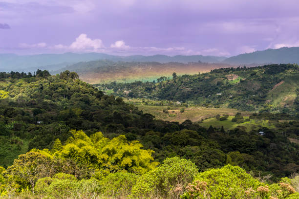 schöne landschaft in den anden, san agustin (san agustín), huila, kolumbien. grüne bäume und hügel, sonnenuntergangslicht, felder. - san agustin stock-fotos und bilder