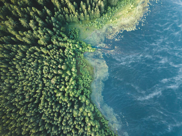 istock A blue lake at sunrise from above. 1465815842