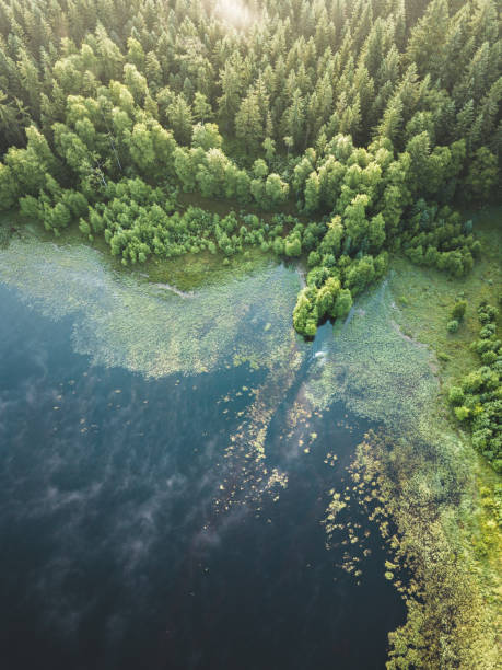 istock A blue lake at sunrise from above. 1465815844