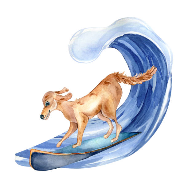 istock Cartoon dog has surfboarding on wave watercolor illustration isolated on white. 1465816374
