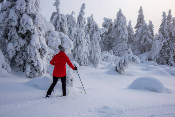 istock Woman cross country skiing 1465816652