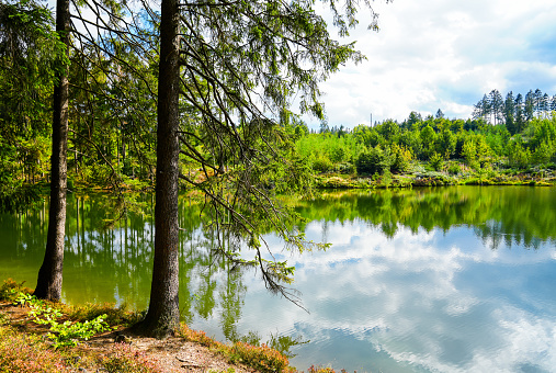 Landscape at the Grumbacher Teich. Nature in the Harz near Goslar. Idyllic landscape by the lake in autumn.