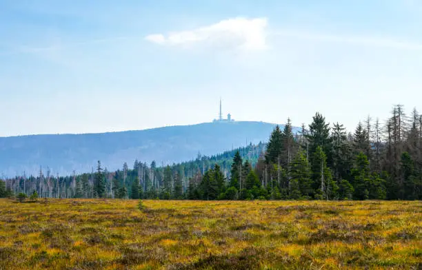 Landscape on the Torfhausmoor in the Harz National Park with a view of the Brocken. Nature at the rain bog near Torfhaus.