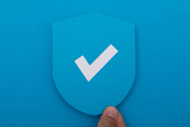 A hand holding a shield with a checkmark on a blue background, cybersecurity and network protection