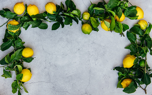 Banner and Frame of Organic Lemons with leaves