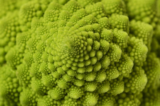 istock texture of Roman cauliflower 1465828492