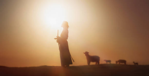 berger jésus-christ guidant les brebis et la lumière du soleil et la silhouette de jésus bokeh - gardien de moutons photos et images de collection