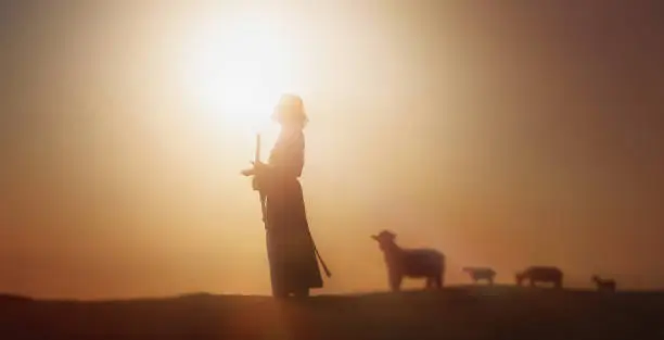 Photo of shepherd jesus christ leading the sheep and sun light and jesus bokeh silhouette