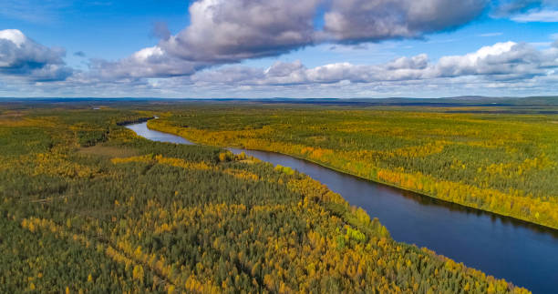 istock Lapland river in autumn colors 1465830613
