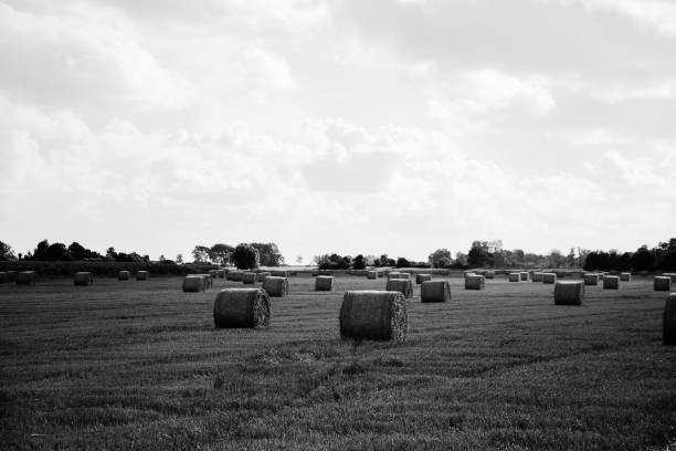 istock Life in the Countryside 1465832219