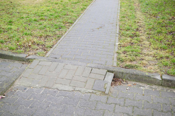 istock Gray asphalt trail through a green park 1465835045