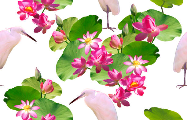 Seamless pattern with egrets and pink lotuses on a white background.