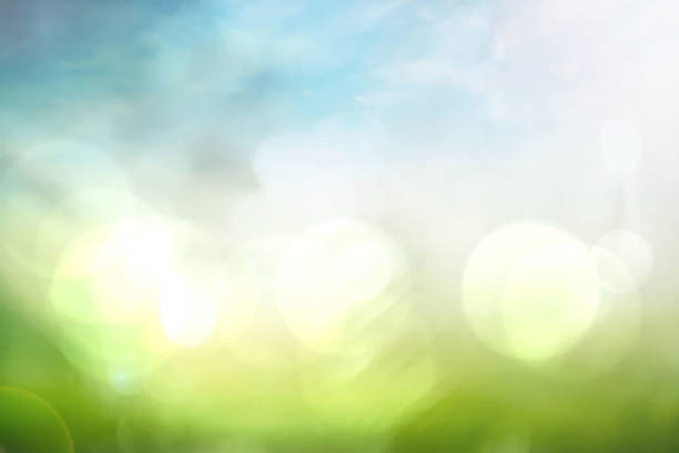 istock Abstract background blur, holiday wallpaper for design 1465842186