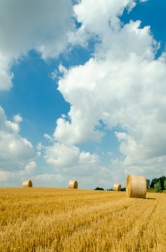 collection of straw bales at sunset