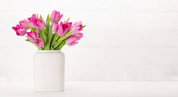 istock Fresh pink tulip flowers 1465846823