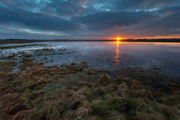 istock Sunset reflection in the water on a meadow in eastern Poland 1465847278