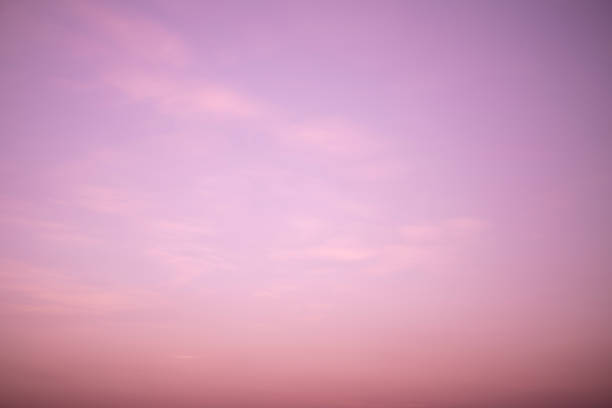 istock Dreamy purple sky  twilight background and sunlight with copy space 1465856300