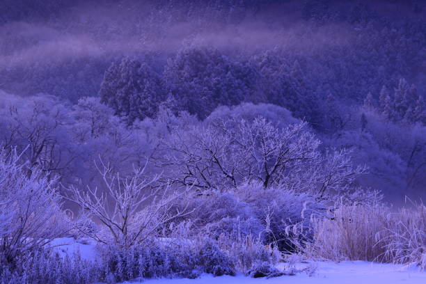 istock sunrise winter scenery 1465859917
