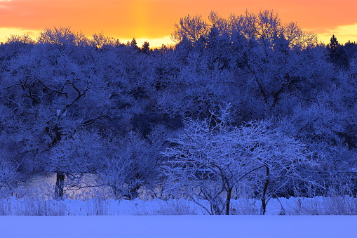 sunrise winter scenery