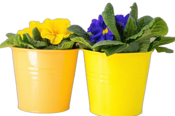 Silicone pot holder for hot dishes.