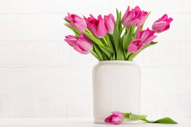 istock Fresh pink tulip flowers 1465878767