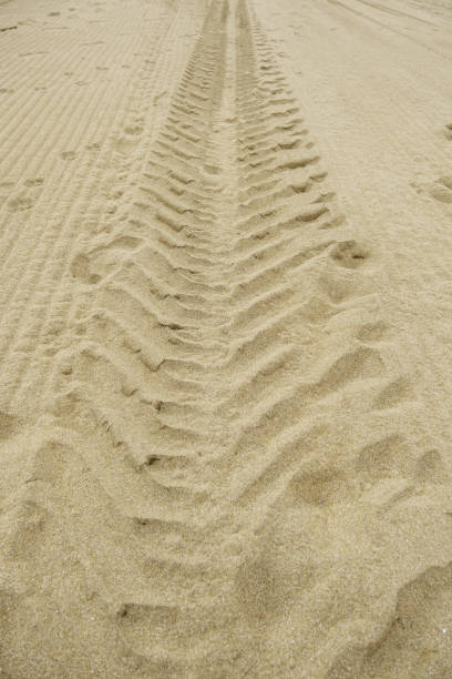 istock Wheel tracks on the beach 1465879813
