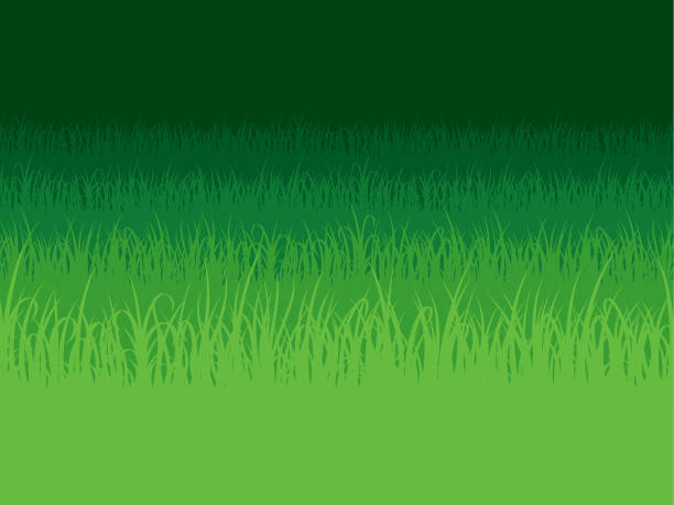 Grass Clipart Background