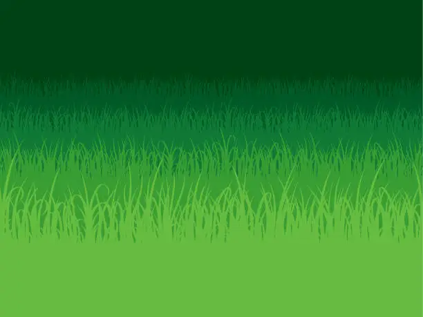 Vector illustration of Grass background. Field with grass. Grass Lawn.