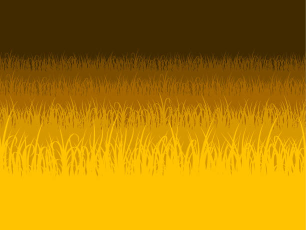 Prairie Graphic 270+ Prairie Grass Pattern Stock Illustrations, Royalty-Free Vector ...